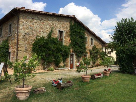 Agriturismo Relais Poggio Primo Borro Exterior photo